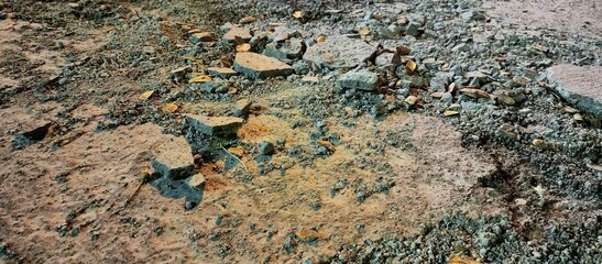 cracked surface textures on the soil created different patterns