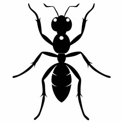 Ant vector silhouette black design white background
