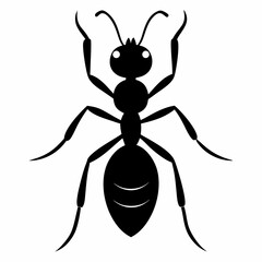 Ant vector silhouette black design white background