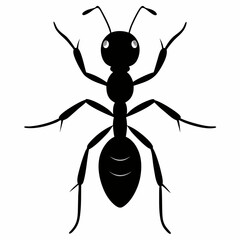 Ant vector silhouette black design white background