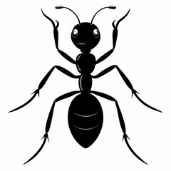 Ant vector silhouette black design white background