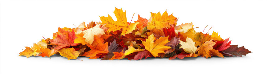 Fototapeta premium Vibrant Autumn Leaves on Transparent Background