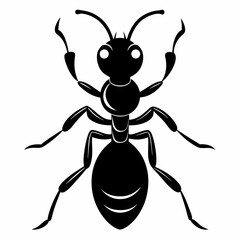 Ant vector silhouette black design white background