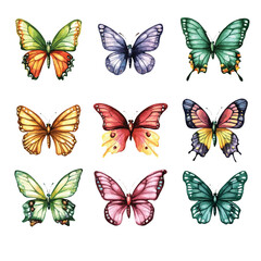 Adobe Illustrator Artwork