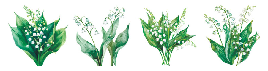 Watercolor set of bouquets of old lilies of the valley png. White lilies of the valley with lush green leaves on an isolated background. Elements for wedding, spring designs, etc. Vector illustration. © Narin
