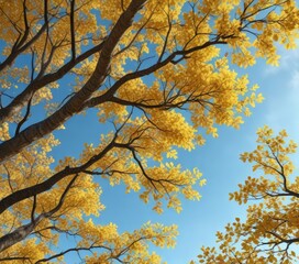 Dense branches heavy with vibrant yellow leaves stretching towards a bright blue sky , outdoor landscape, tree branches