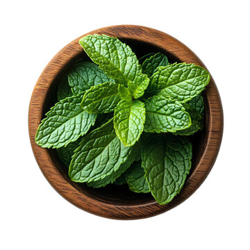 Papermint leaves in wooden cup top view isolated on transparent background