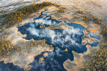 Drone panorama on tiny isles in lake in colorful sunrise colors. Top down view on swamp with isle. Sustainable ecosystem of wetlands.