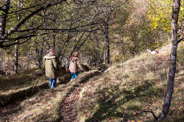 Naklejka premium young couple walking in the woods