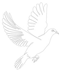 One Line Drawing of Dove