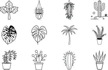 Indoor Plants, Cactus, Succulents, Line Art, Botanical Illustrations, Houseplants, Hanging Plants, M