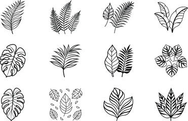 Tropical Plant Line Art Leaves, Botanical, Outline, Designs, Illustrations