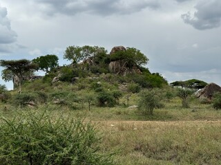 landscape with rolling clouds in the serengeti national park tanzania