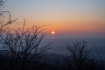 Sunset with dark silhouettes of trees in the foreground