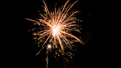 Fototapeta premium Colorful fireworks in the night sky