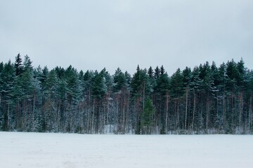 Processed with VSCO with e2 preset