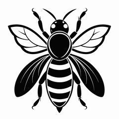 Bee vector silhouette black design white background
