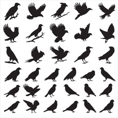 SET OF BLACK VECTOR VARIOUS BIRD SILHOUETTE