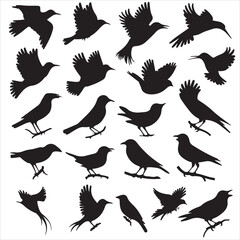 SET OF BLACK VECTOR VARIOUS BIRD SILHOUETTE
