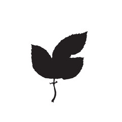 Rough edges dried rose leaf black silhouette. Boho minimalist wild herb stamp. Botanical rustic element isolated on white background.