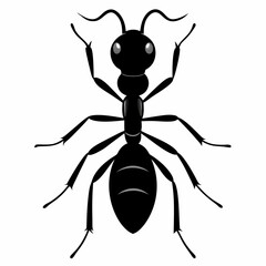Ant vector silhouette black design white background