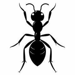 Ant vector silhouette black design white background