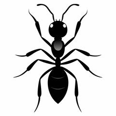 Ant vector silhouette black design white background