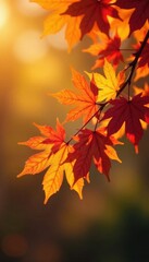 Vibrant autumn branch with multicolored leaves against a warm background , tree, colorful, leaf