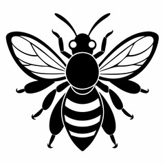 Bee vector silhouette black design white background