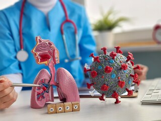 A healthcare worker examines a model of human lungs alongside a COVID virus representation to illustrate the effects of the virus
