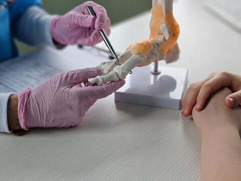 Podiatrist showing anatomical foot skeleton model concept - Powered by Adobe