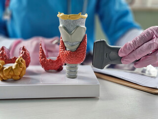 Detailed examination of a 3D printed thyroid model using an ultrasound scanning device