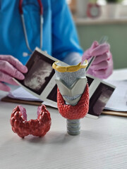 Doctor holding thyroid and larynx model while viewing ultrasound images