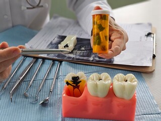 Dentist explains dental procedures using models and medication during a patient consultation