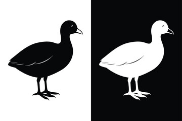 Stylized Coot Silhouette Icon Clean Black & White Vector.