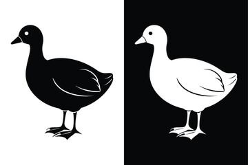 Stylized Coot Silhouette Icon Clean Black & White Vector.