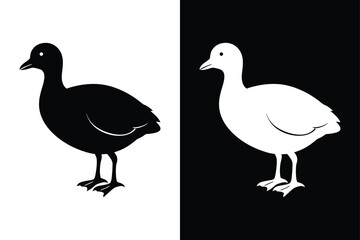 Stylized Coot Silhouette Icon Clean Black & White Vector.
