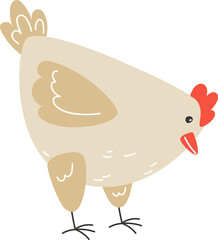 Large Hen Pecking and Eating Feed