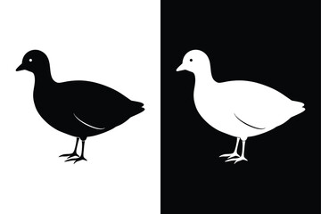 Coot Silhouette Vector Perfect for Logos and Artwork.