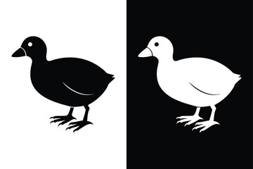 Coot Silhouette Vector Perfect for Logos and Artwork.