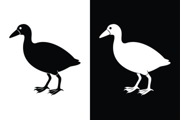 Coot Silhouette Vector Perfect for Logos and Artwork.