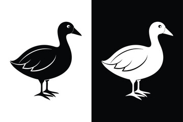Coot Silhouette Vector Perfect for Logos and Artwork.