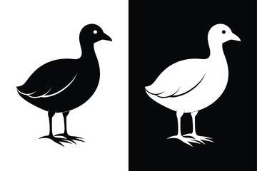 Coot Bird Silhouette Vector Icon – Black and White Background.