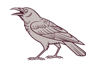 Obraz premium vector illustration of a crow