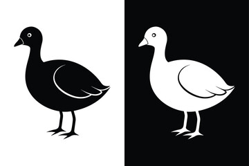 Coot Bird Silhouette Vector Icon – Black and White Background.