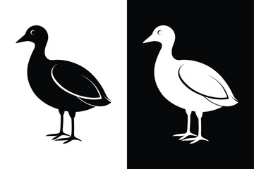 Coot Bird Silhouette Vector Icon – Black and White Background.