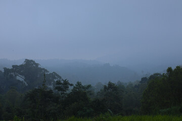 foggy view with cold temperature in the hills of Indonesia