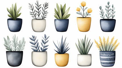 Plants collection in pots watercolor style for interior decor, wall art, poster, or educational illustration