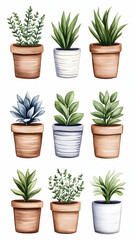 Potted plants collection, simple, modern, with natural light, clean background, decoration asset