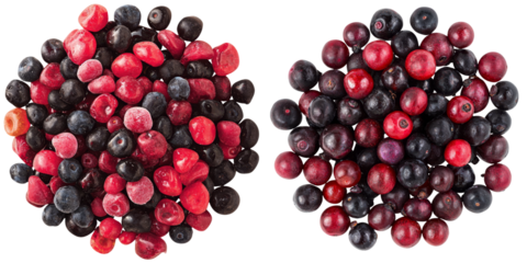 Vibrant mixed berry medley featuring red and black berries on transparency background